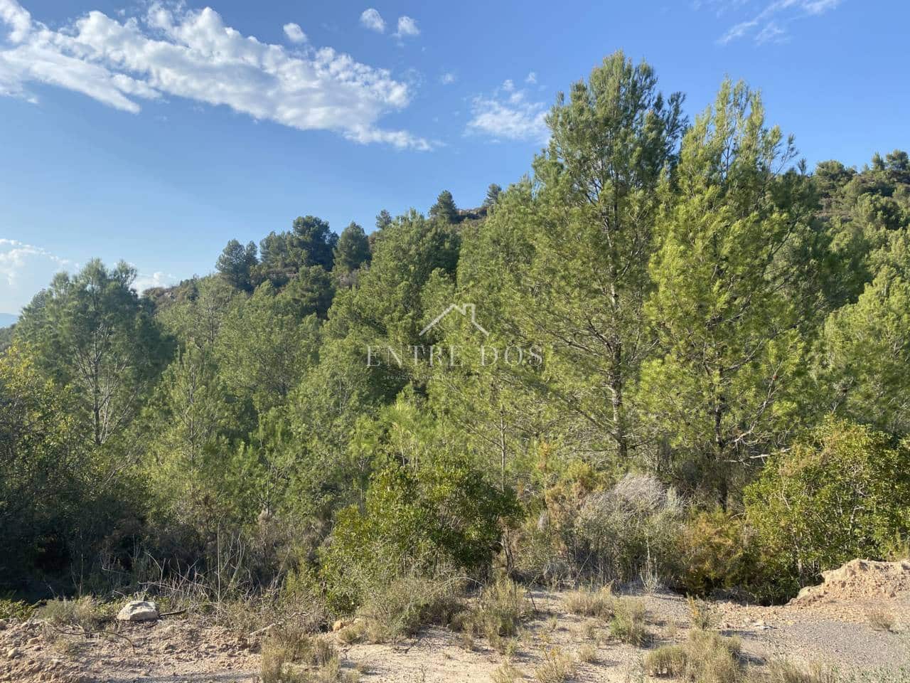 Grond te koop in Borriol - € 90.000 (Ref: 8456072)