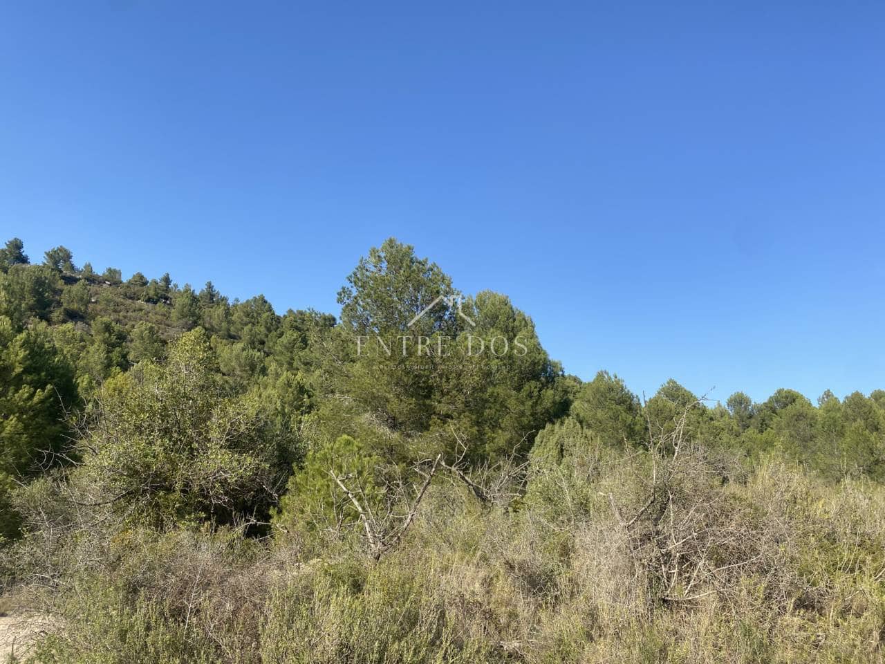 Grond te koop in Borriol - € 90.000 (Ref: 8456072)