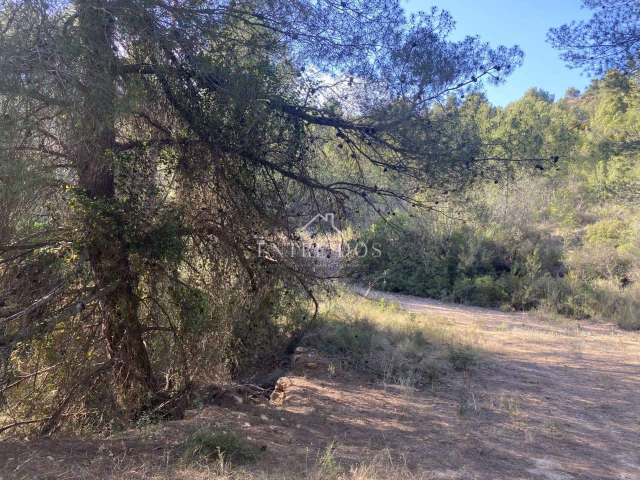 Grond te koop in Borriol - € 90.000 (Ref: 8456072)