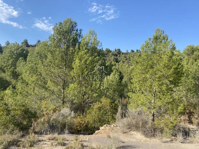 Undeveloped Land for sale in Borriol - € 90,000 (Ref: 8456072)