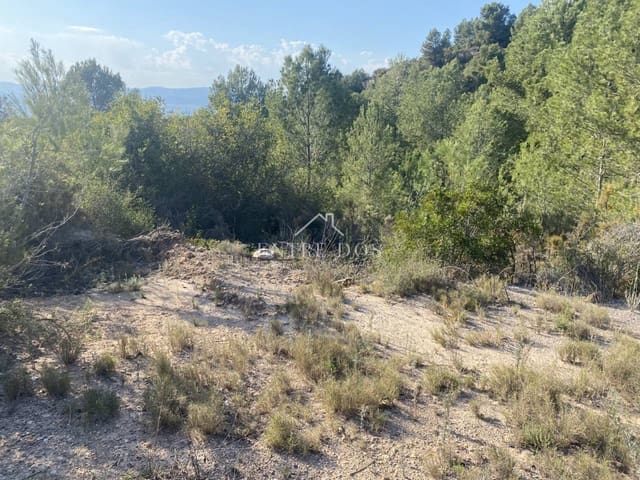 Undeveloped Land for sale in Borriol - € 90,000 (Ref: 8456072)