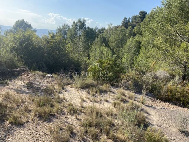 Undeveloped Land for sale in Borriol - € 90,000 (Ref: 8456072)