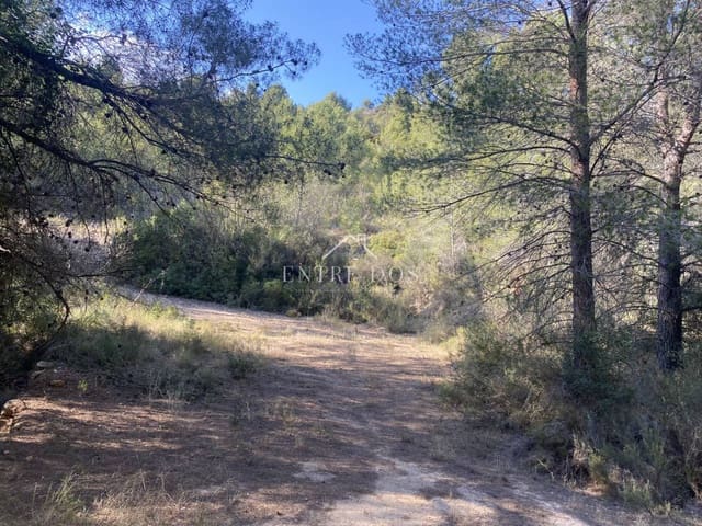 Undeveloped Land for sale in Borriol - € 90,000 (Ref: 8456072)