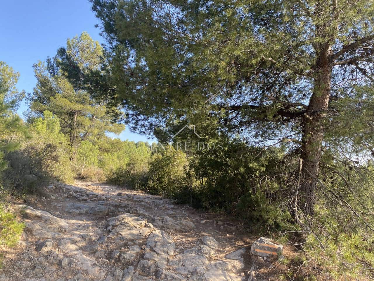 Grond te koop in Borriol - € 90.000 (Ref: 8456072)