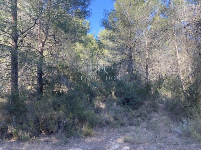 Undeveloped Land for sale in Borriol - € 90,000 (Ref: 8456072)