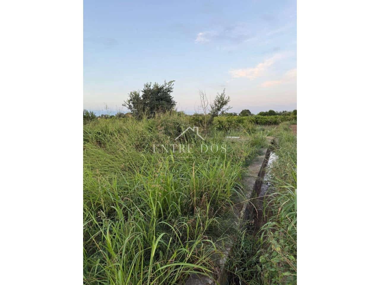 Grond te koop in Burriana / Borriana - € 10.000 (Ref: 9239558)