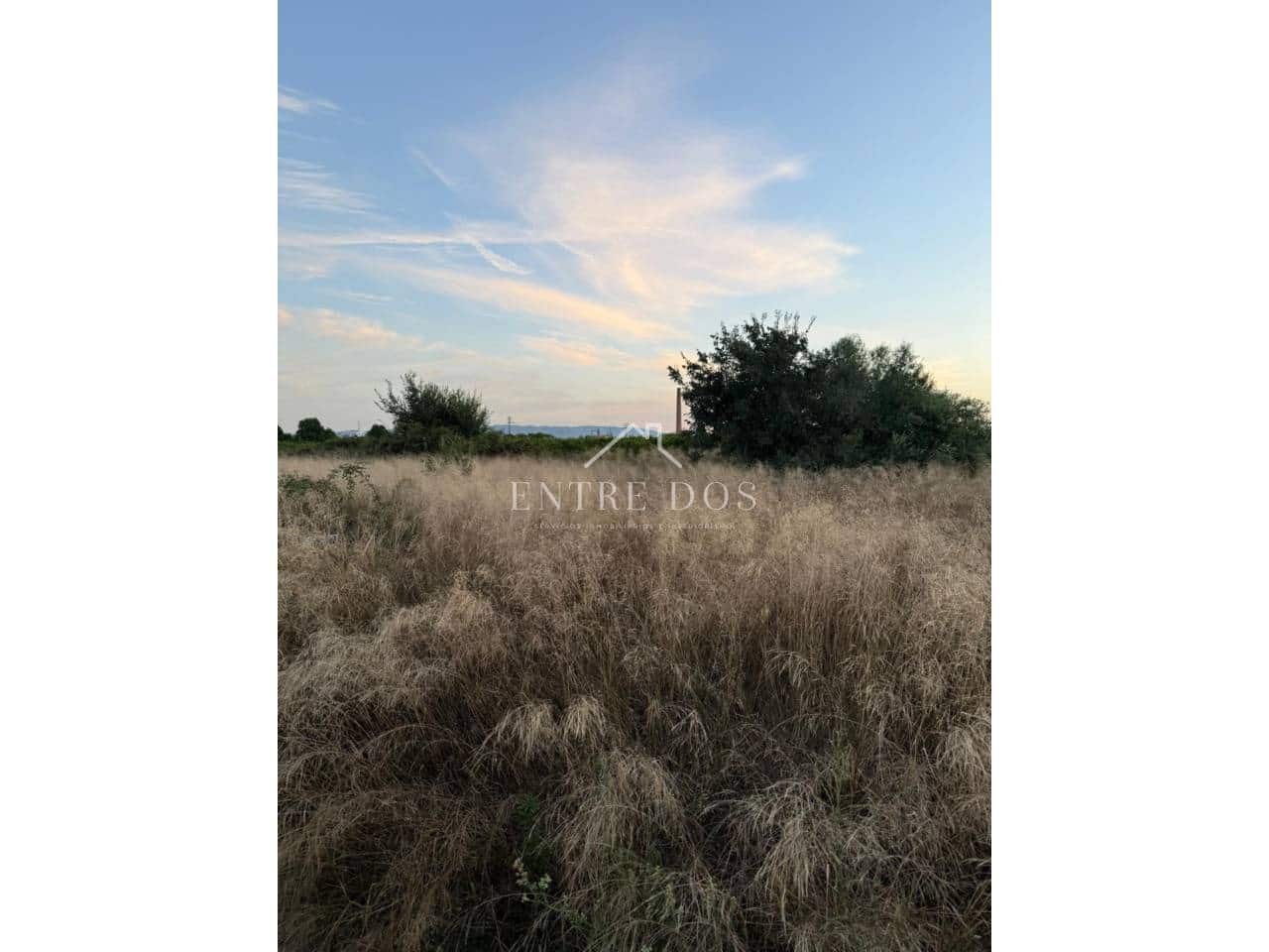 Grond te koop in Burriana / Borriana - € 10.000 (Ref: 9239558)