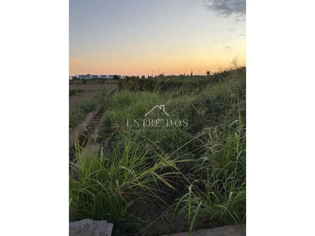 Mark till salu i Burriana / Borriana - 10 000 € (Ref: 9239558)