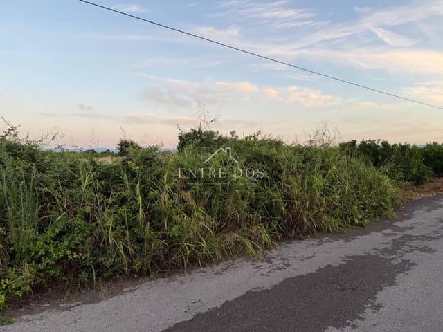 Mark till salu i Burriana / Borriana - 10 000 € (Ref: 9239558)