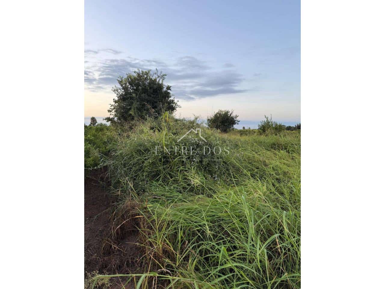 Grond te koop in Burriana / Borriana - € 10.000 (Ref: 9239558)