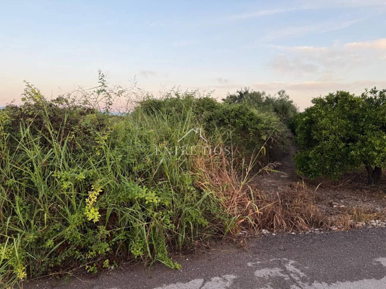 Grond te koop in Burriana / Borriana - € 10.000 (Ref: 9239558)