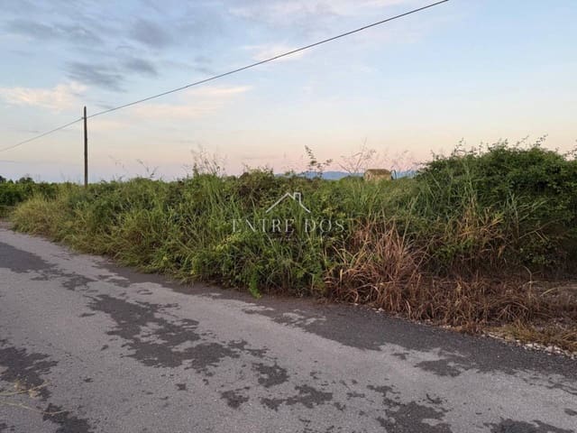 Mark till salu i Burriana / Borriana - 10 000 € (Ref: 9239558)