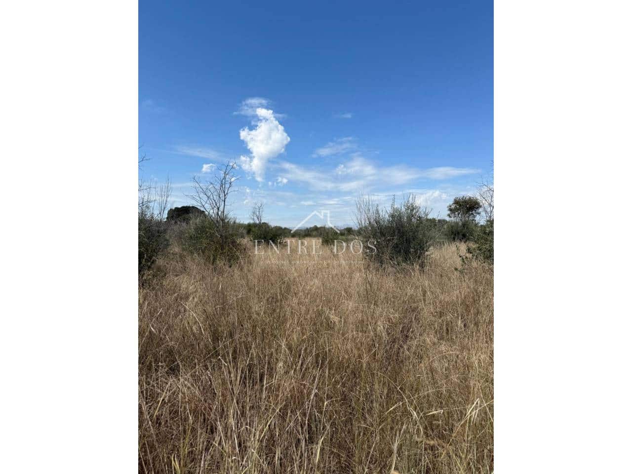 Rakentamaton maa myytävänä paikassa Vila-real - 20 000 € (Ref: 9239559)