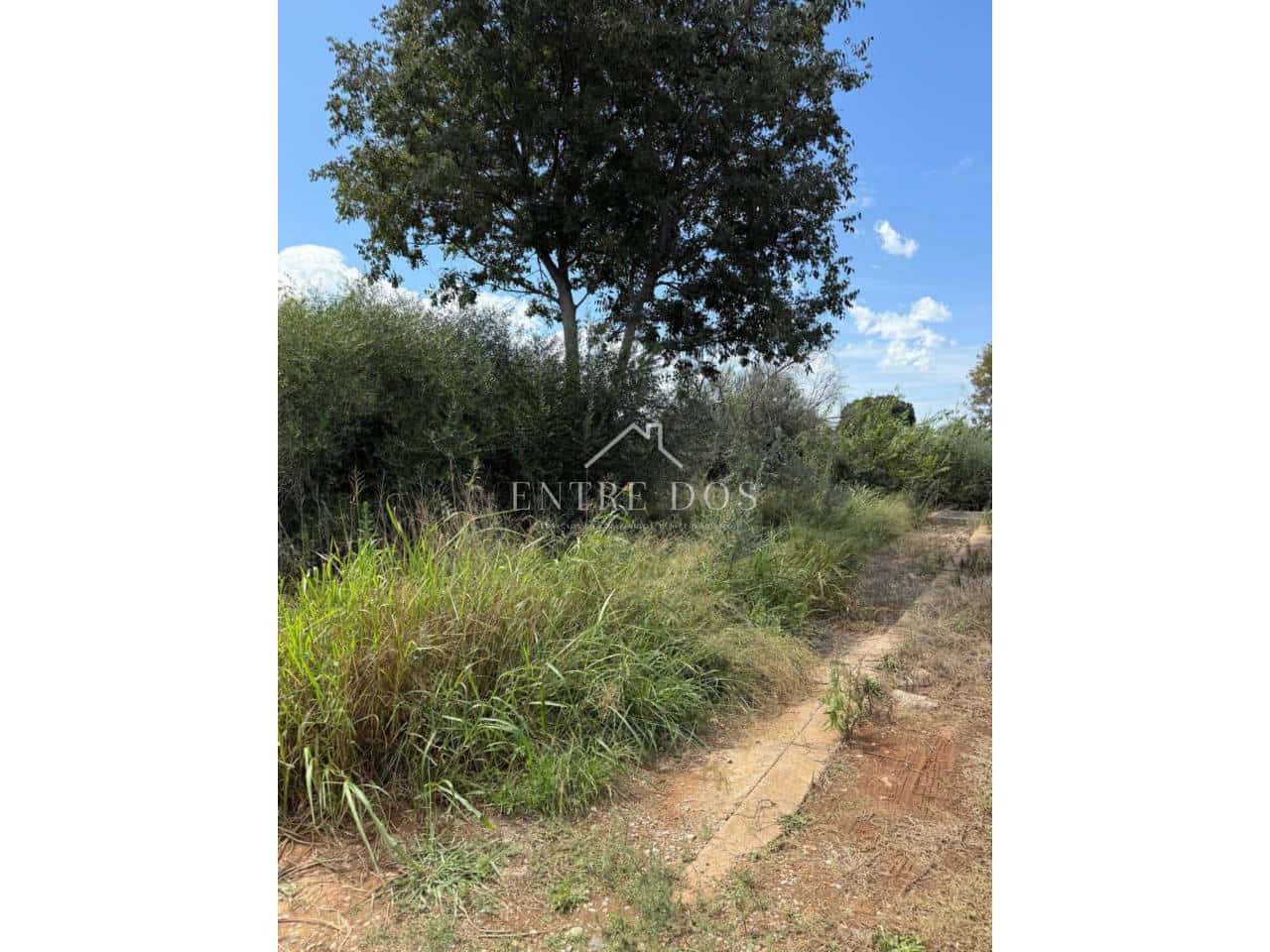 Rakentamaton maa myytävänä paikassa Vila-real - 20 000 € (Ref: 9239559)