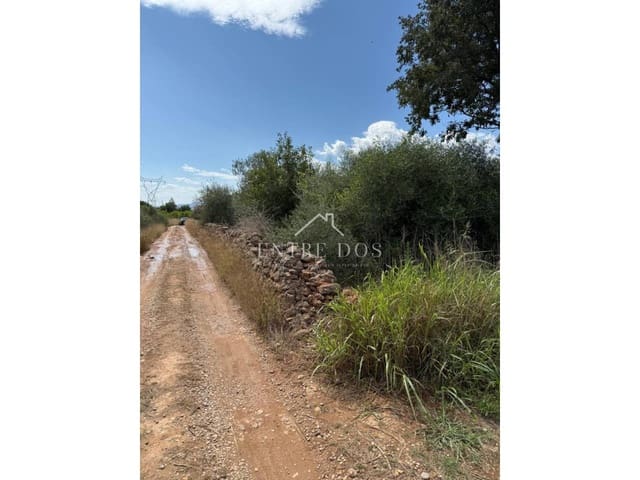 Mark till salu i Vila-real - 20 000 € (Ref: 9239559)