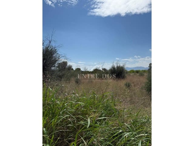 Mark till salu i Vila-real - 20 000 € (Ref: 9239559)