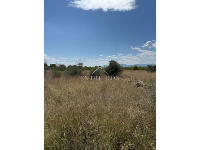 Mark till salu i Vila-real - 20 000 € (Ref: 9239559)