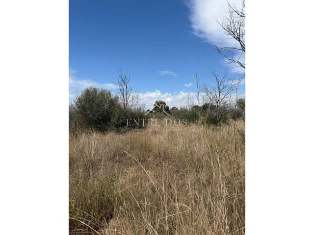 Mark till salu i Vila-real - 20 000 € (Ref: 9239559)