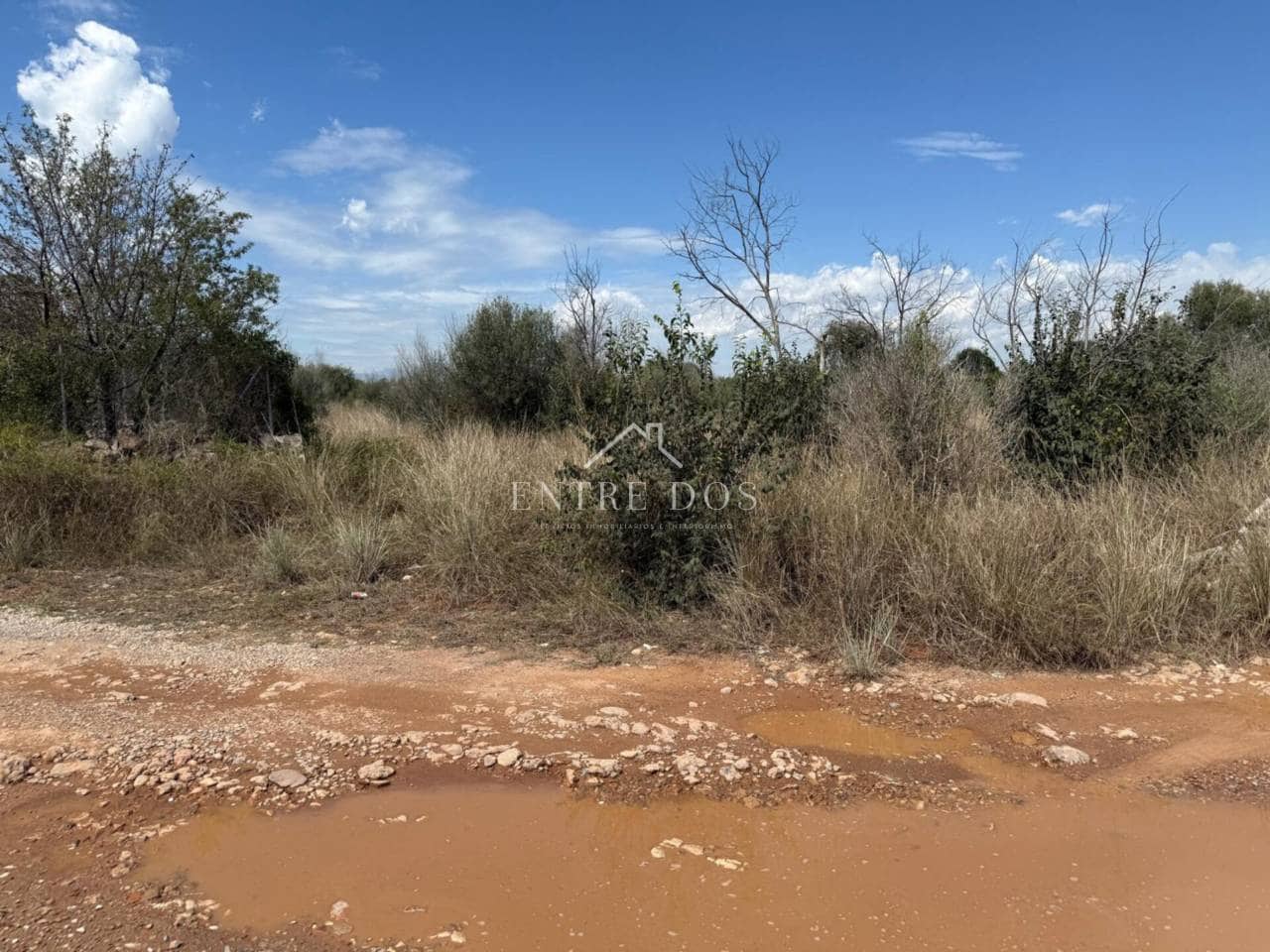 Rakentamaton maa myytävänä paikassa Vila-real - 20 000 € (Ref: 9239559)