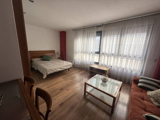 1 makuuhuone Asunto vuokrattavana paikassa Castelló de la Plana - 600 € (Ref: 9429605)