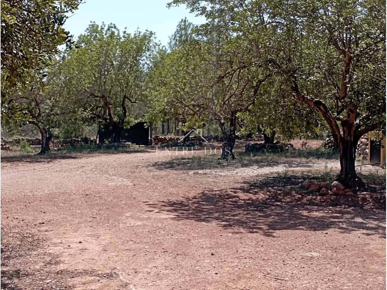 2 Zimmer Villa zu verkaufen in Tales mit Pool - 165.000 € (Ref: 9473730)