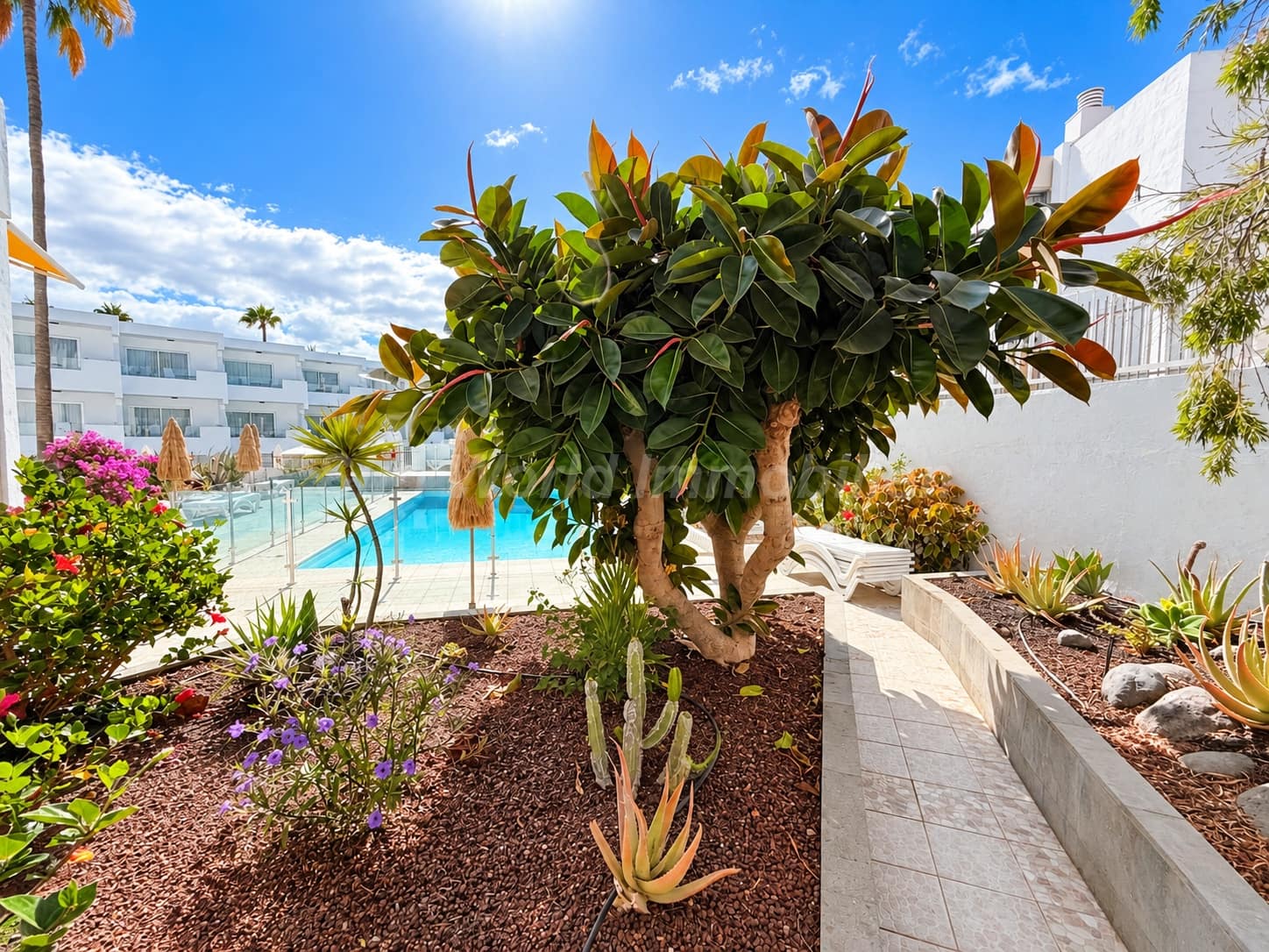 Piso de 1 habitación en Playa del Inglés en venta con piscina - 310.000 € (Ref: 10095040)