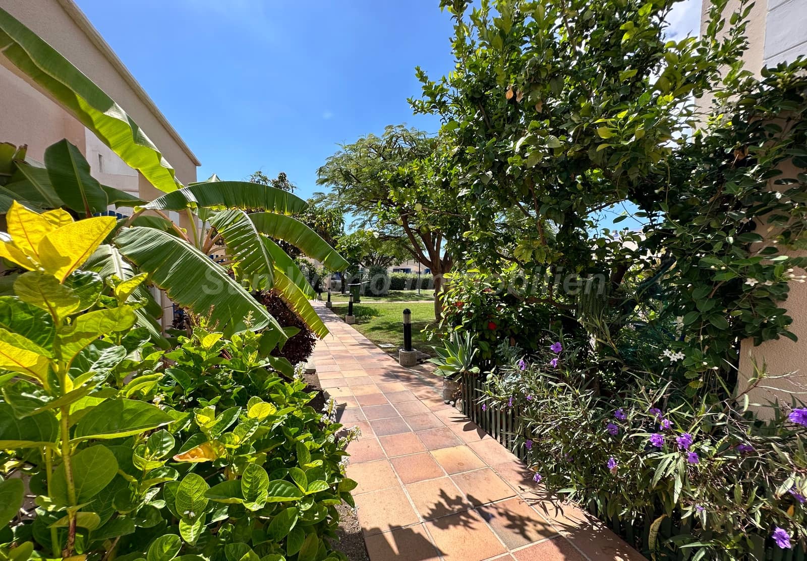 Bungalow de 1 habitación en Bahia Feliz en alquiler con piscina - 1.100 € (Ref: 10132142)