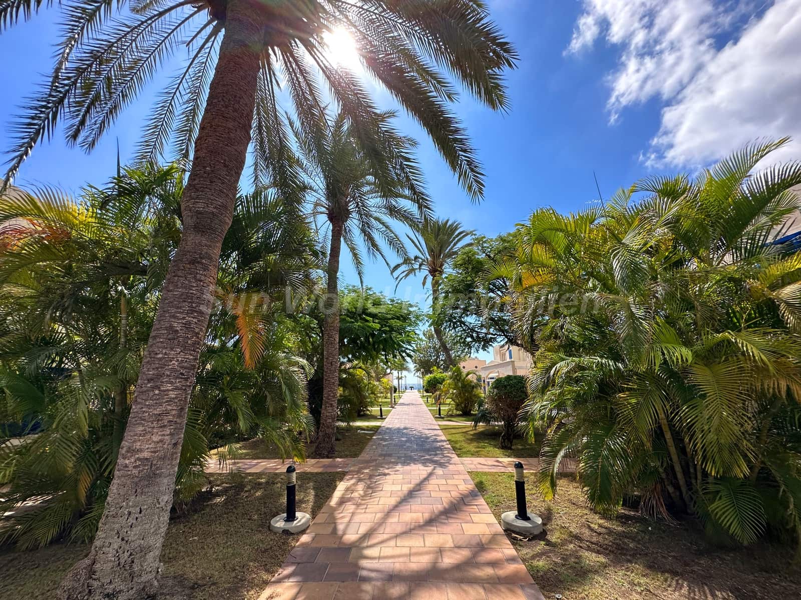 Bungalow de 1 habitación en Bahia Feliz en alquiler con piscina - 1.100 € (Ref: 10132142)