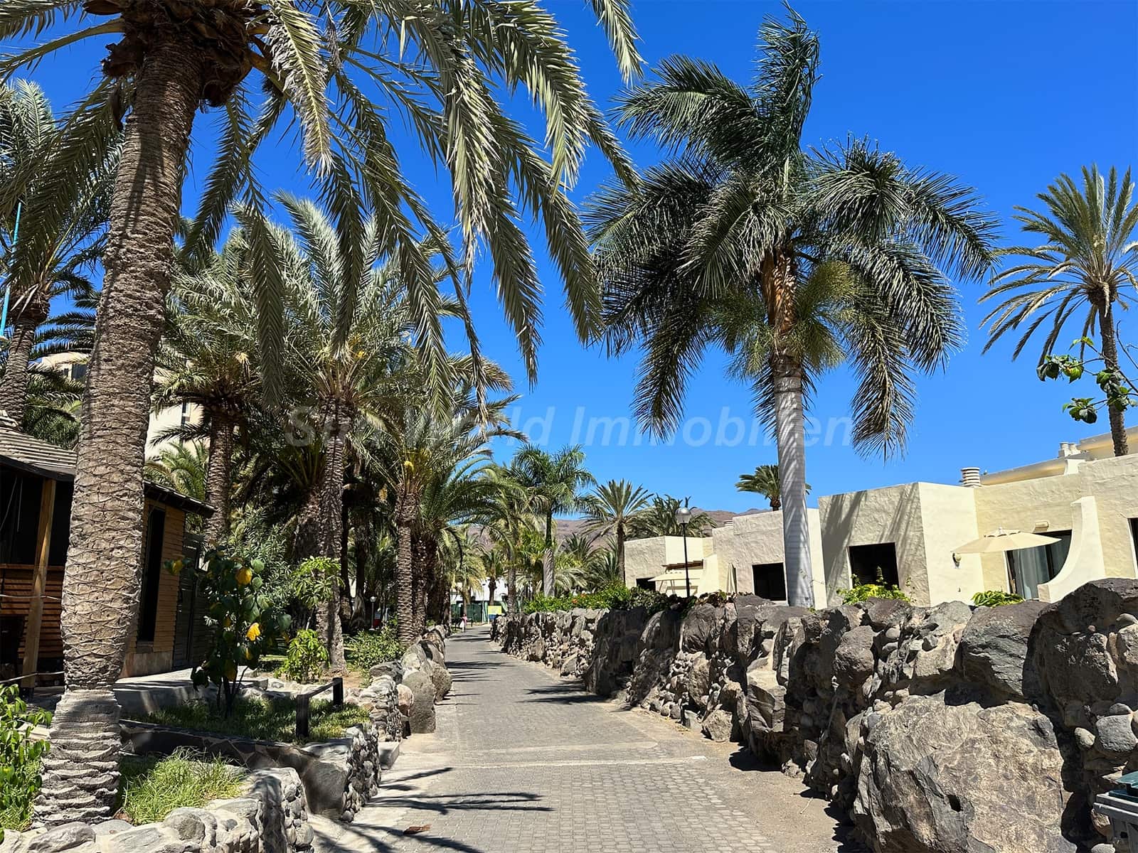 Bungalow de 1 habitación en Bahia Feliz en alquiler con piscina - 1.100 € (Ref: 10132142)