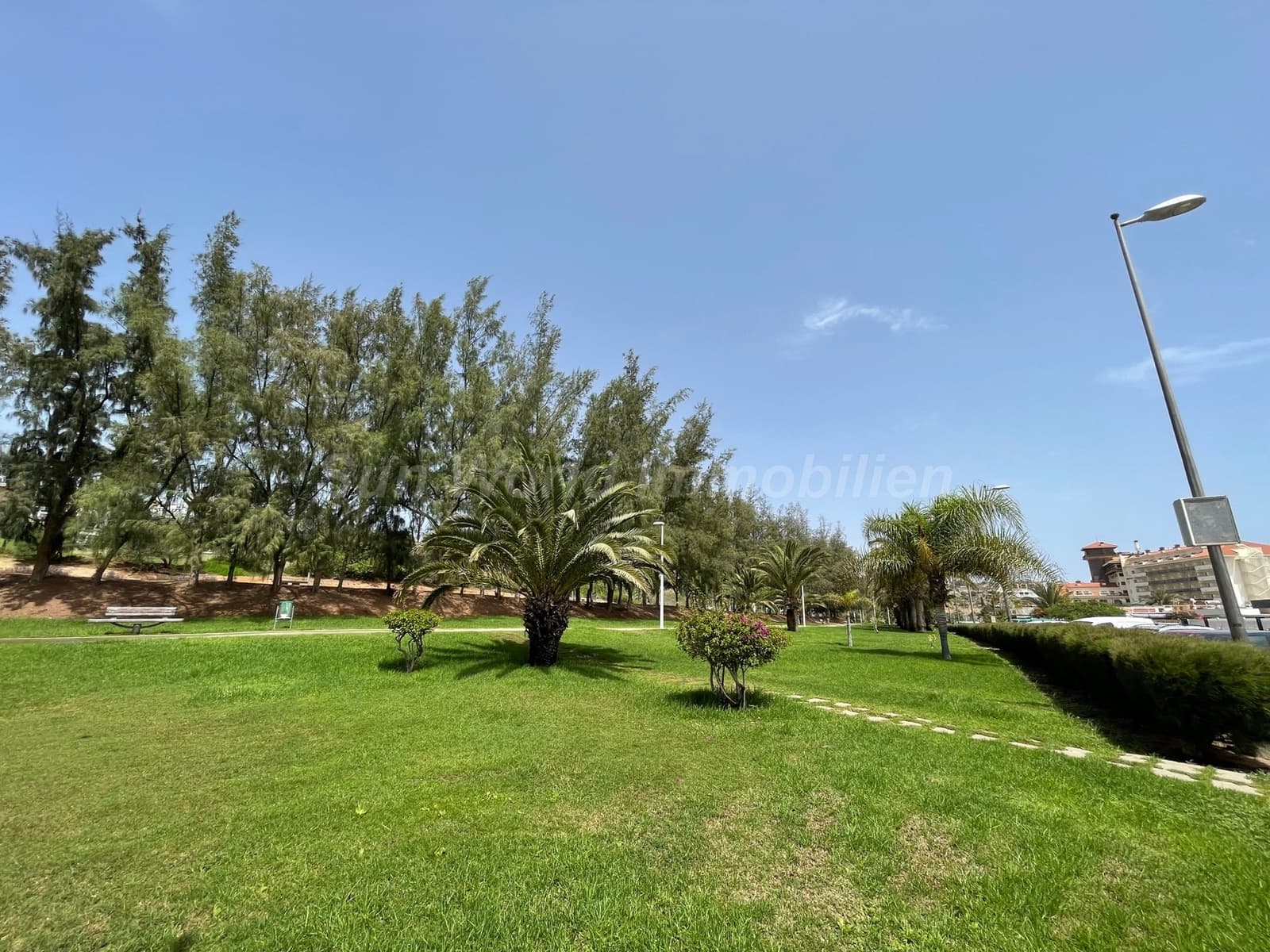Piso de 1 habitación en San Agustín en venta - 320.000 € (Ref: 10139319)