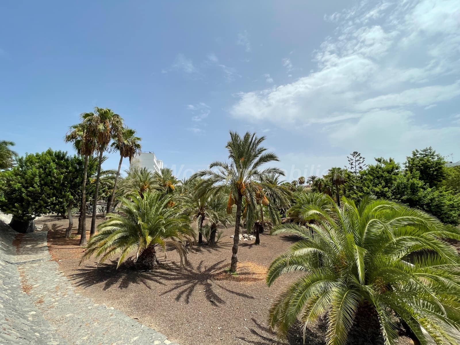 Piso de 1 habitación en San Agustín en venta - 320.000 € (Ref: 10139319)