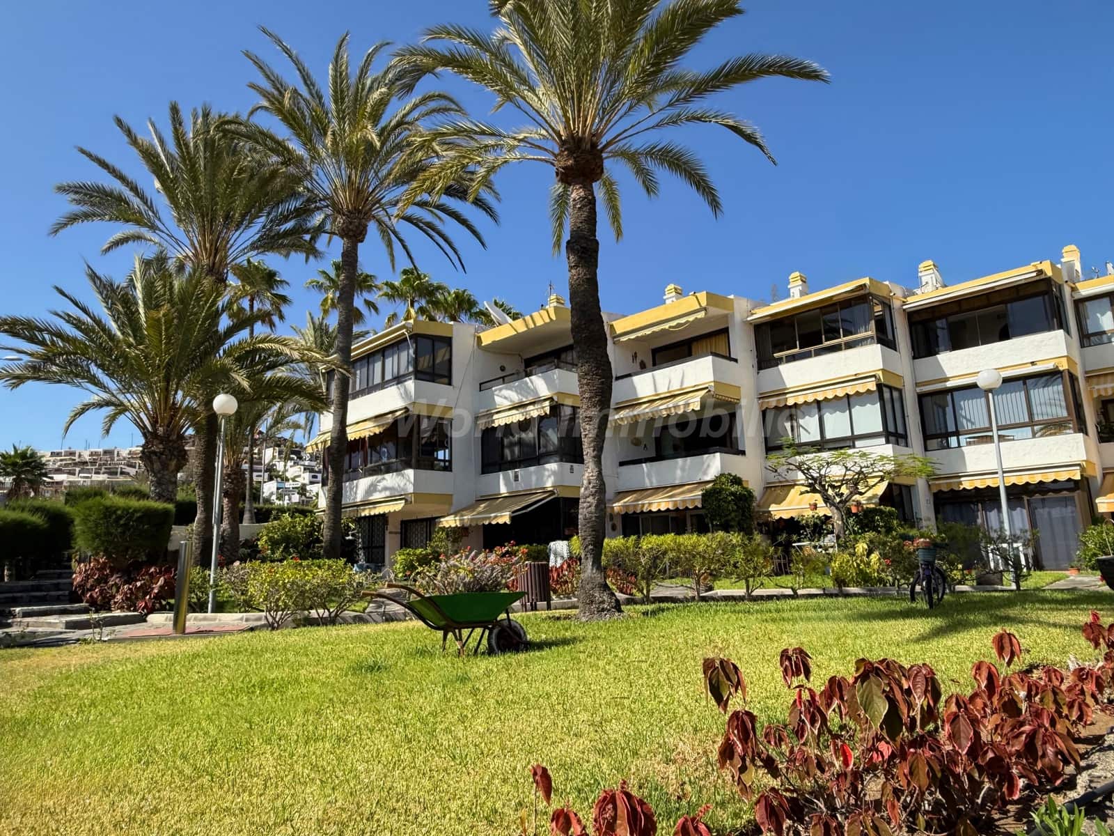 Piso de 1 habitación en San Agustín en venta - 320.000 € (Ref: 10139319)
