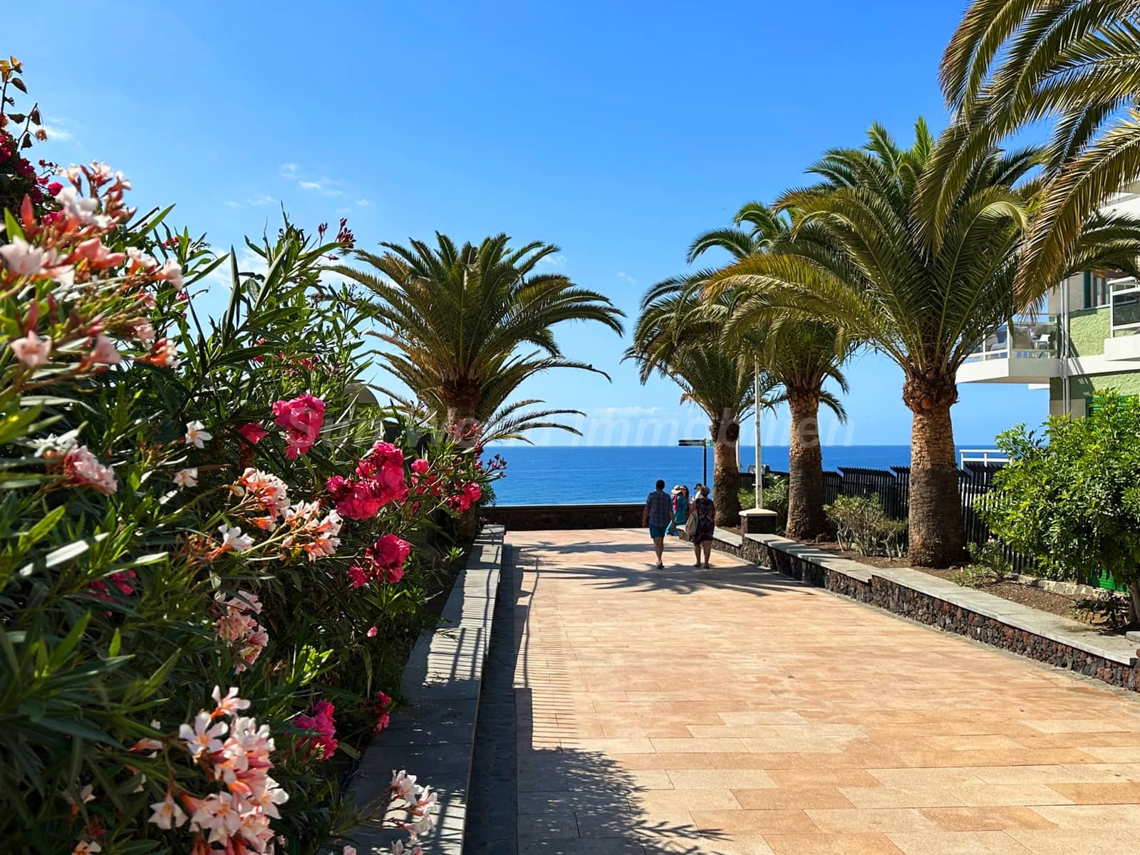 Piso de 2 habitaciones en Playa del Inglés en alquiler - 1.900 € (Ref: 10139320)