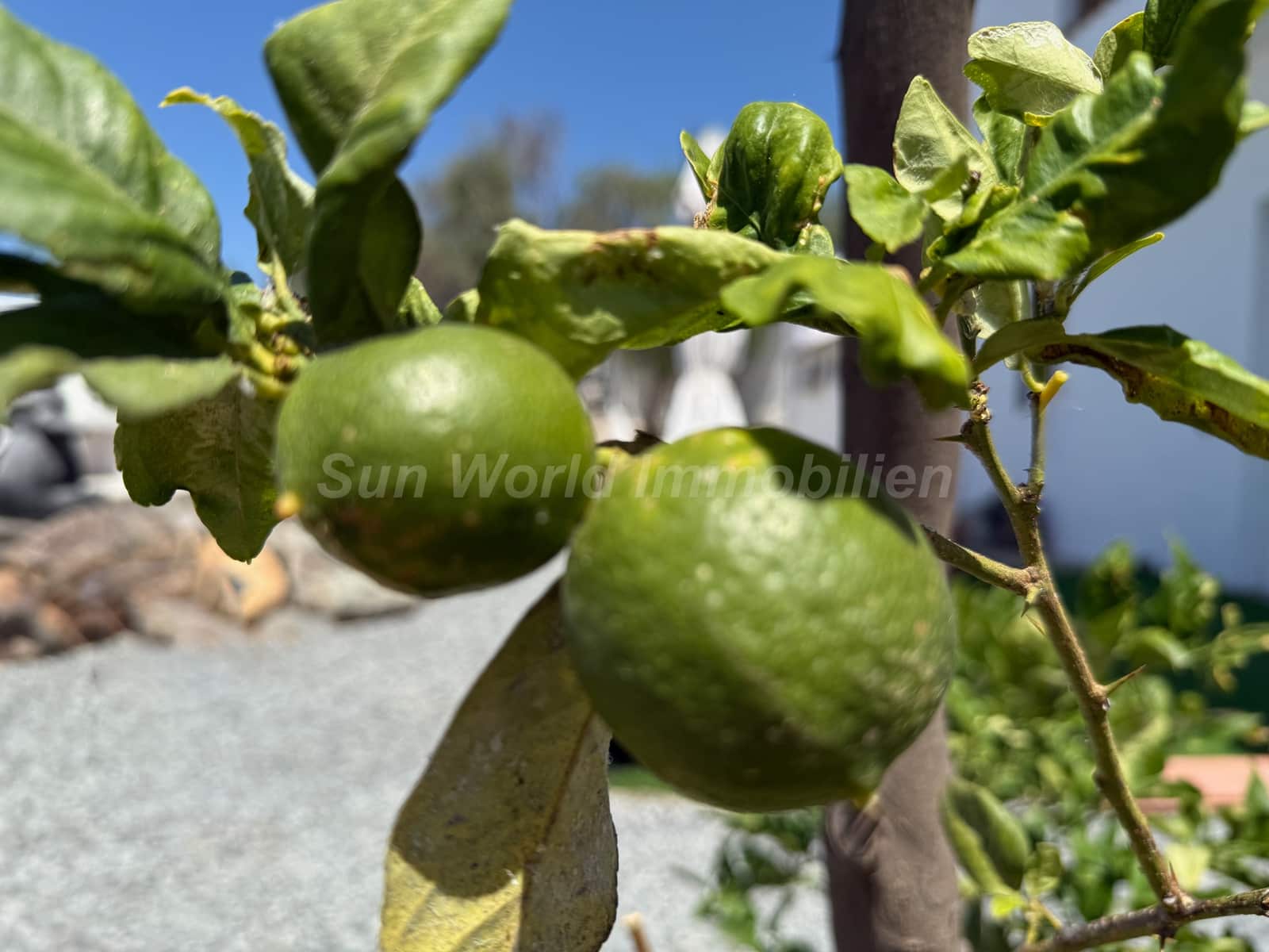 9 slaapkamer Finca/Landhuis te koop in El Salobre - € 1.200.000 (Ref: 9100046)