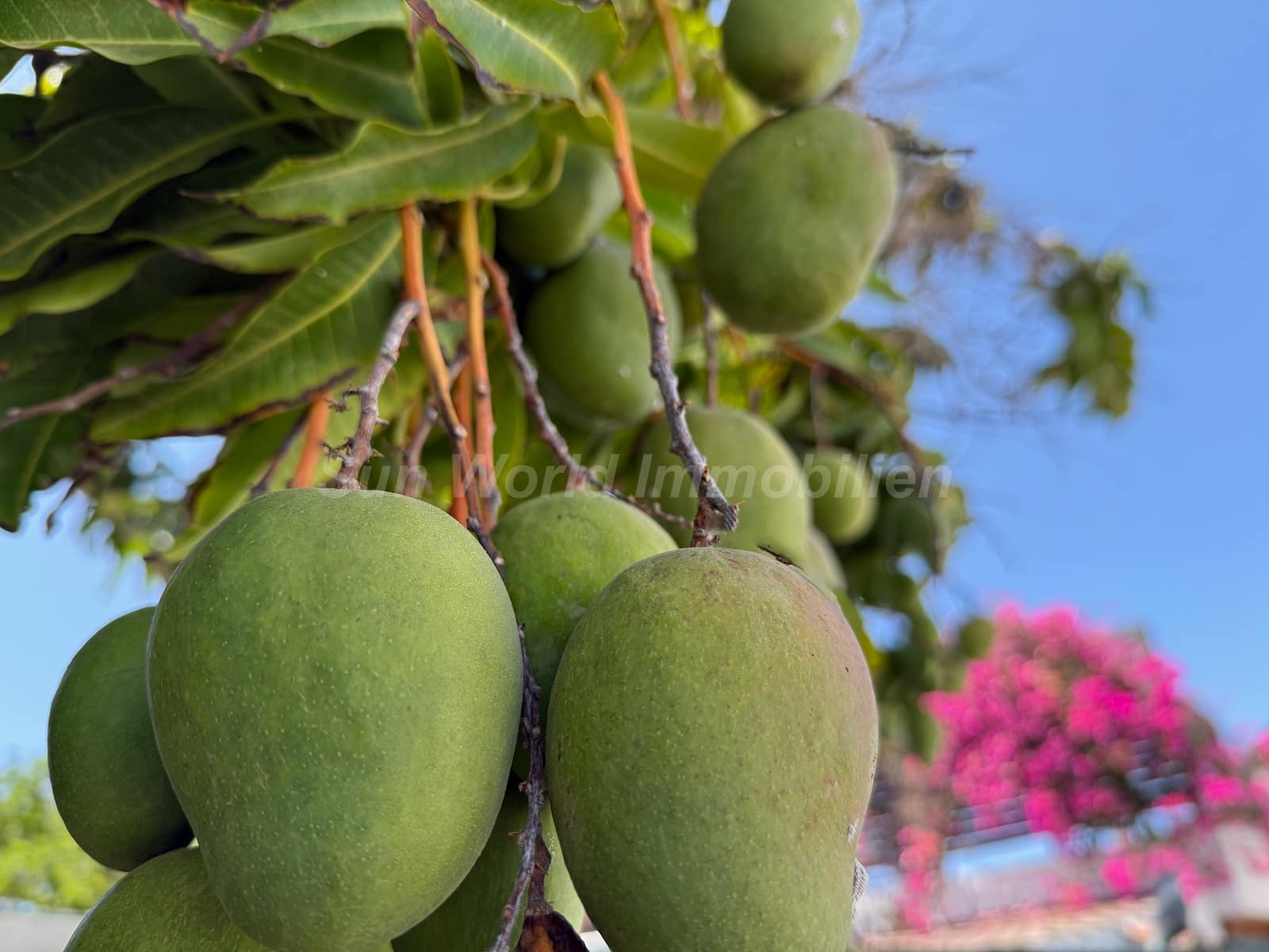 9 slaapkamer Finca/Landhuis te koop in El Salobre - € 1.200.000 (Ref: 9100046)