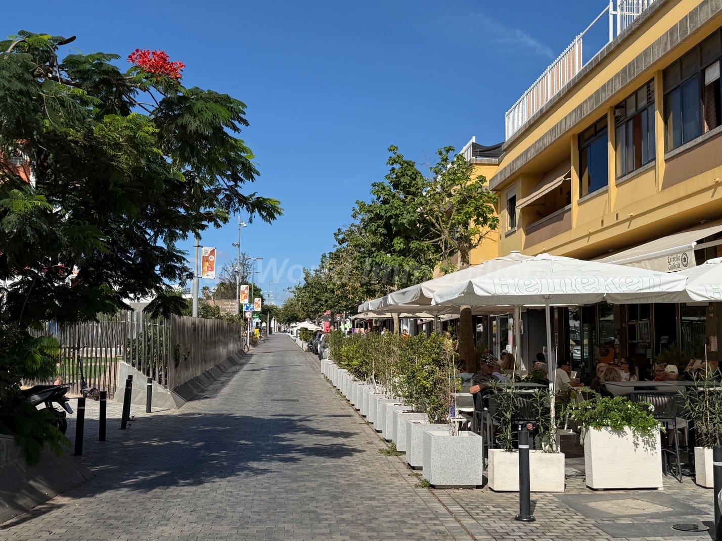 2 soverom Leilighet til leie i San Bartolome de Tirajana - € 990 (Ref: 9354233)