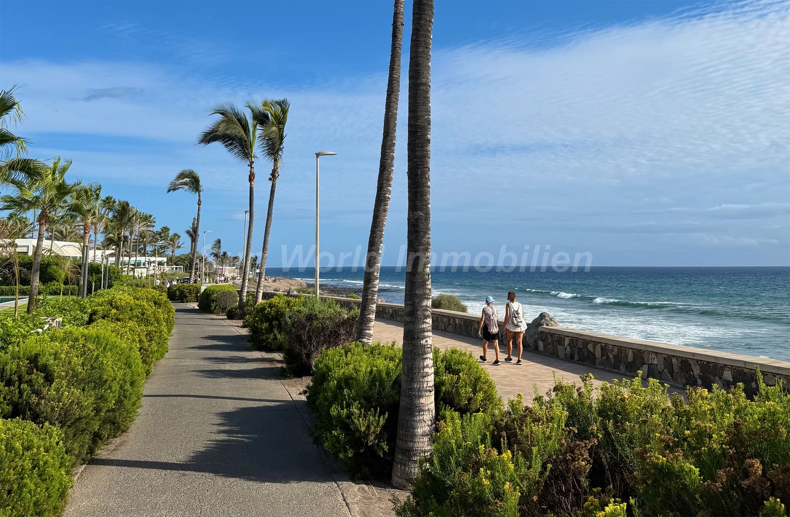 1 bedroom Flat for rent in Maspalomas - € 1,700 (Ref: 9404694)