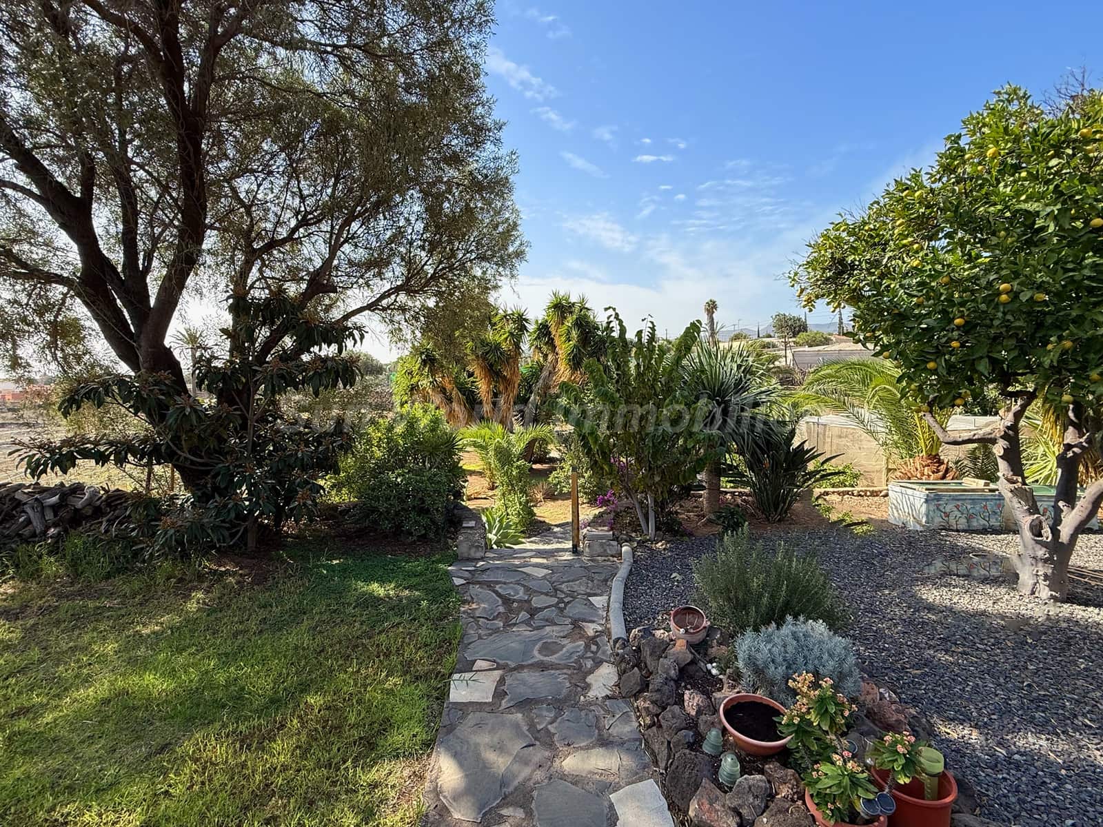 5 sypialnia Finka/Dom wiejski na sprzedaż w Ingenio z basenem - 619 000 € (Ref: 9476288)