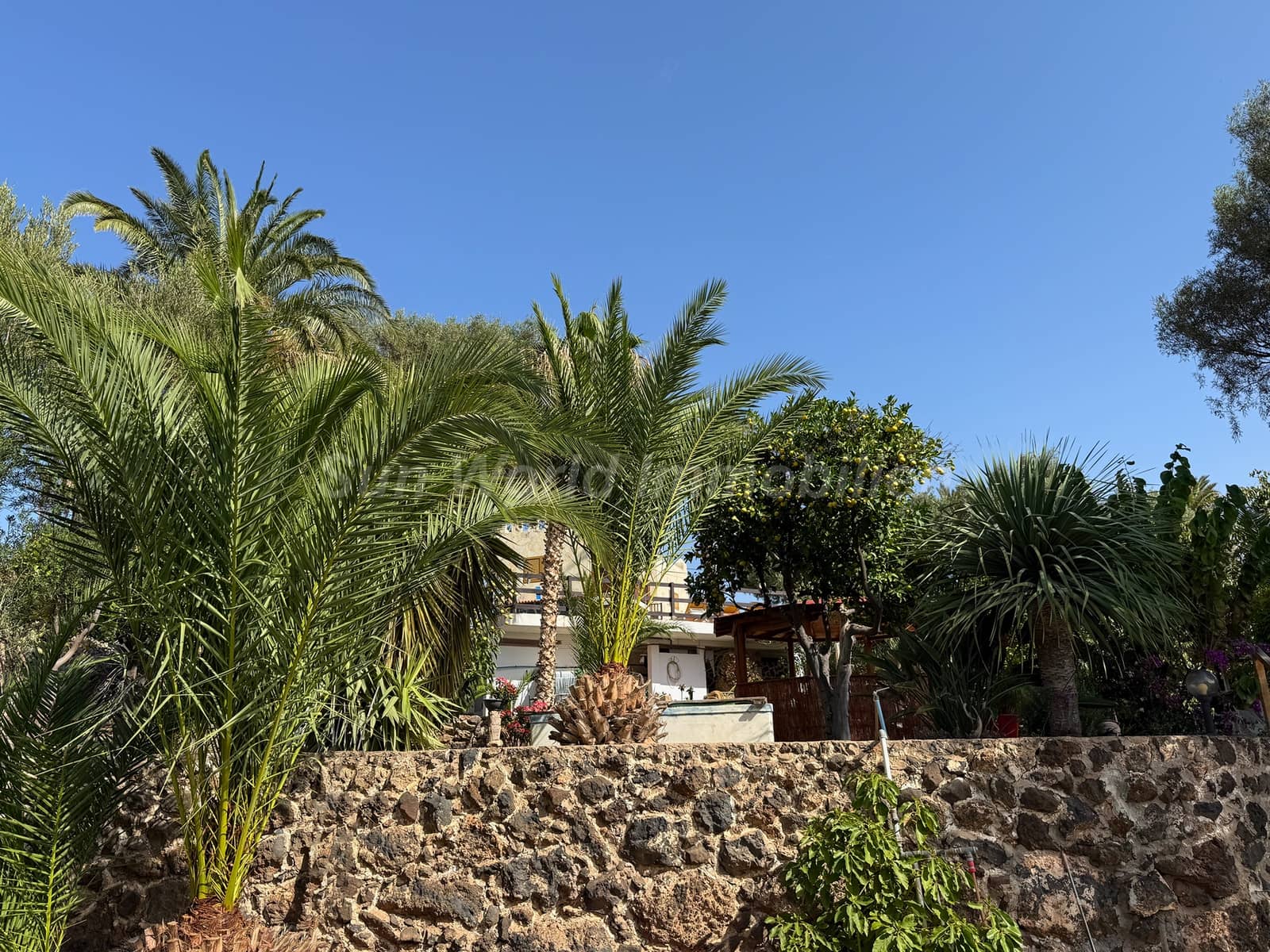 5 sypialnia Finka/Dom wiejski na sprzedaż w Ingenio z basenem - 619 000 € (Ref: 9476288)