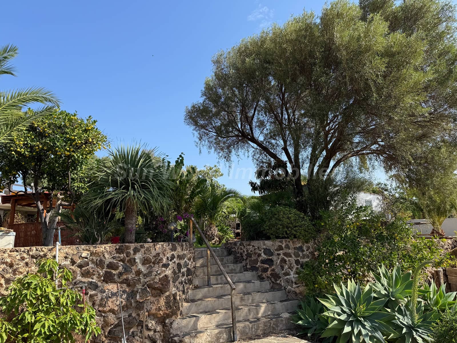 5 sypialnia Finka/Dom wiejski na sprzedaż w Ingenio z basenem - 619 000 € (Ref: 9476288)