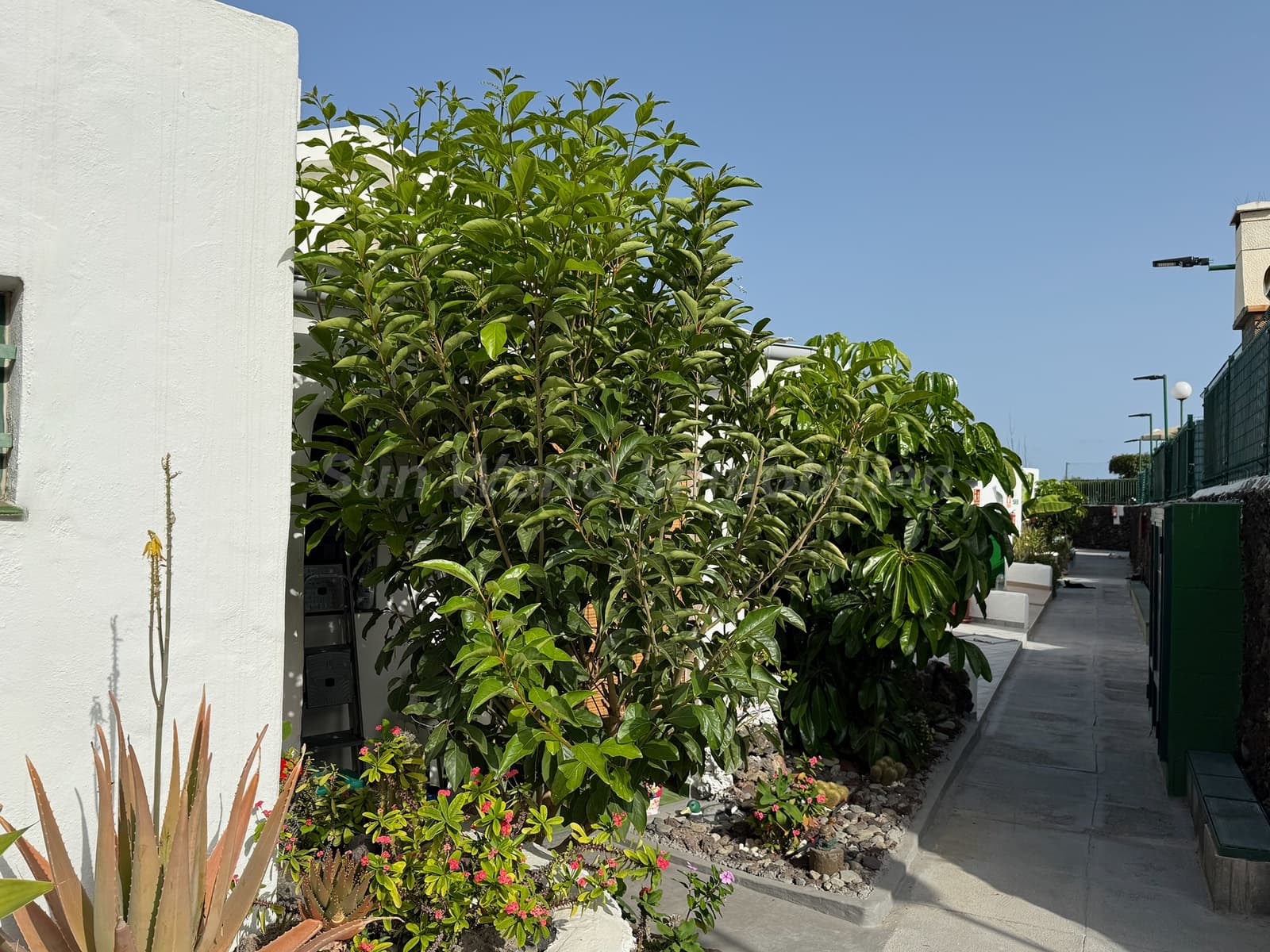 2 bedroom Flat for sale in Sonneland - € 295,000 (Ref: 9503115)