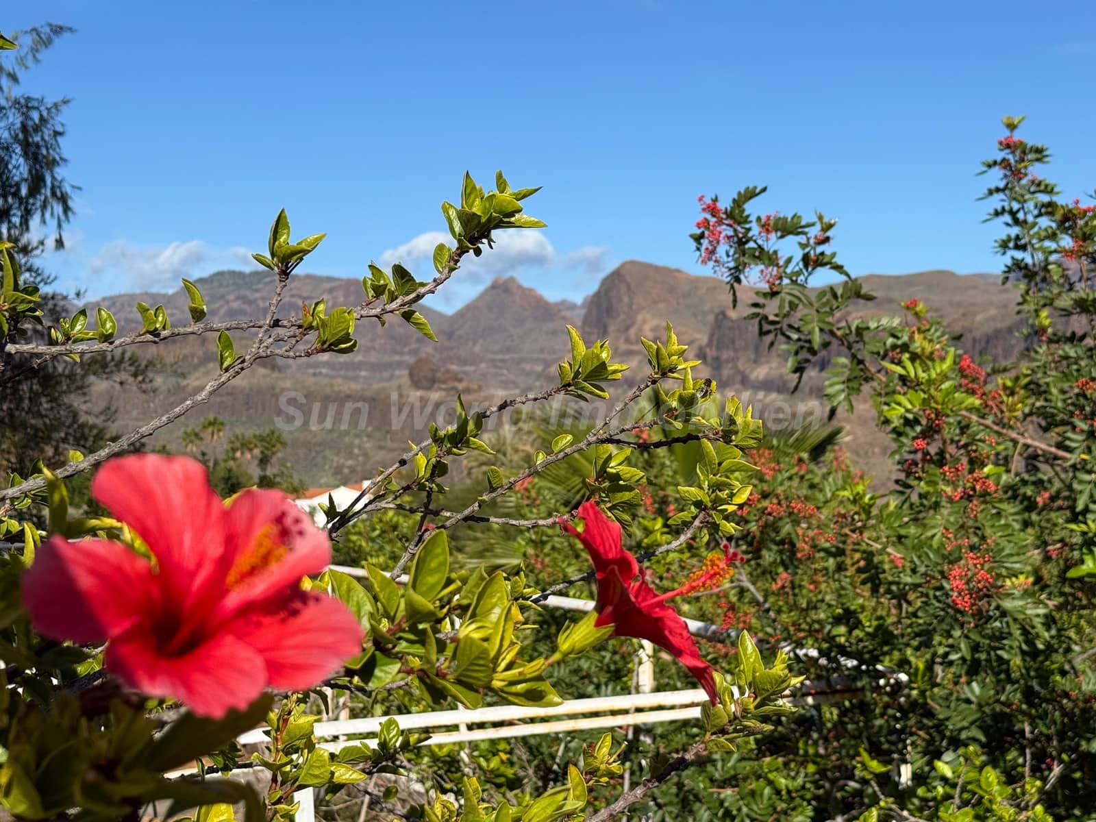 7 soveværelse Villa til salg i Monte Leon med swimmingpool - € 2.295.000 (Ref: 9622263)