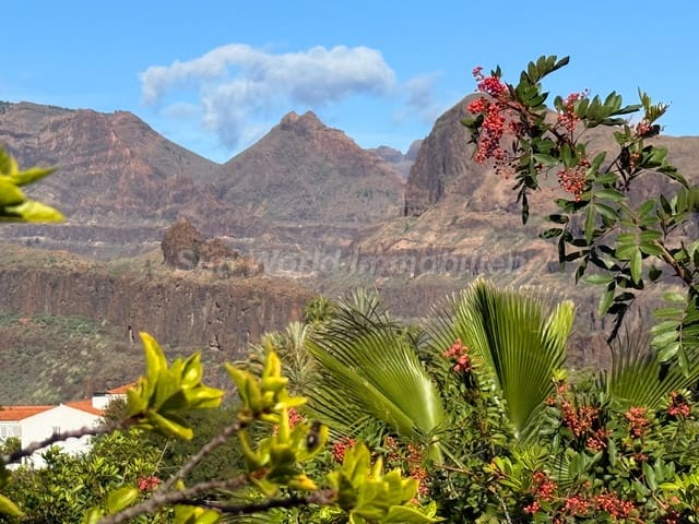 7 soveværelse Villa til salg i Monte León, San Bartolomé de Tirajana med swimmingpool - € 2.295.000 (Ref: 9622263)