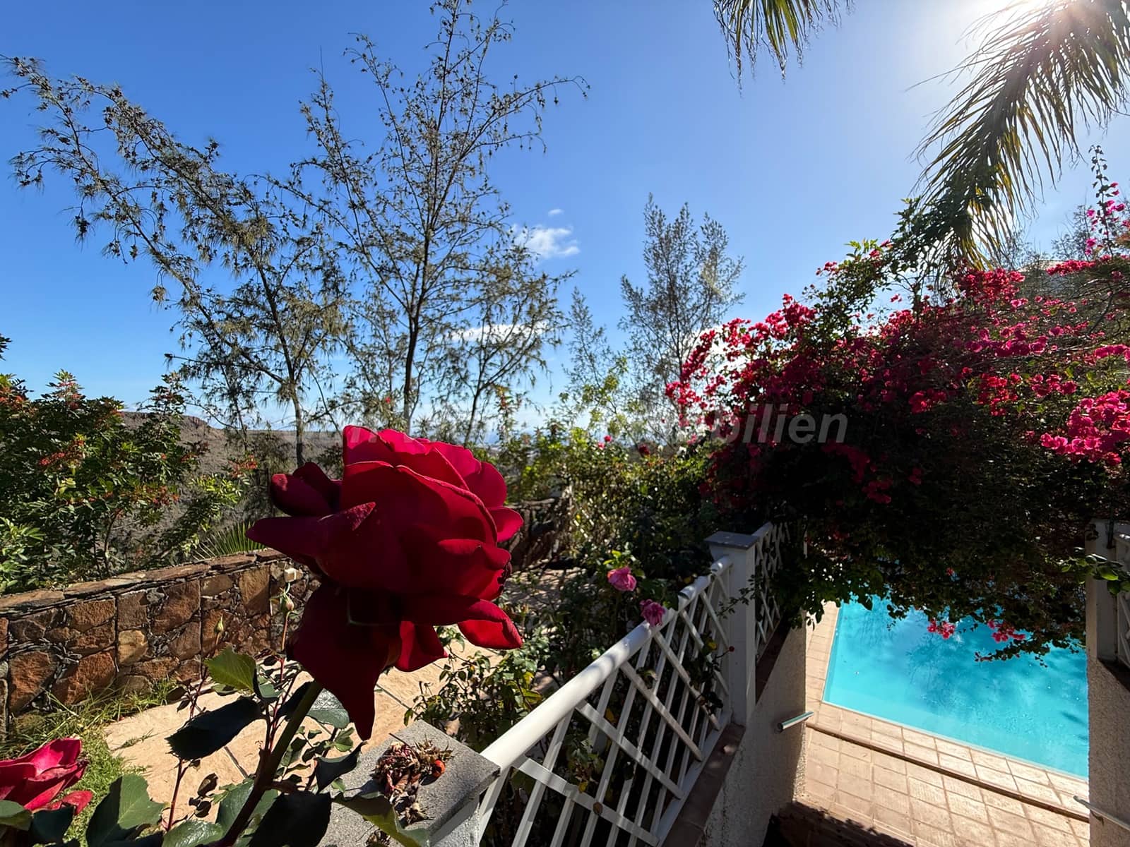 7 soveværelse Villa til salg i Monte Leon med swimmingpool - € 2.295.000 (Ref: 9622263)