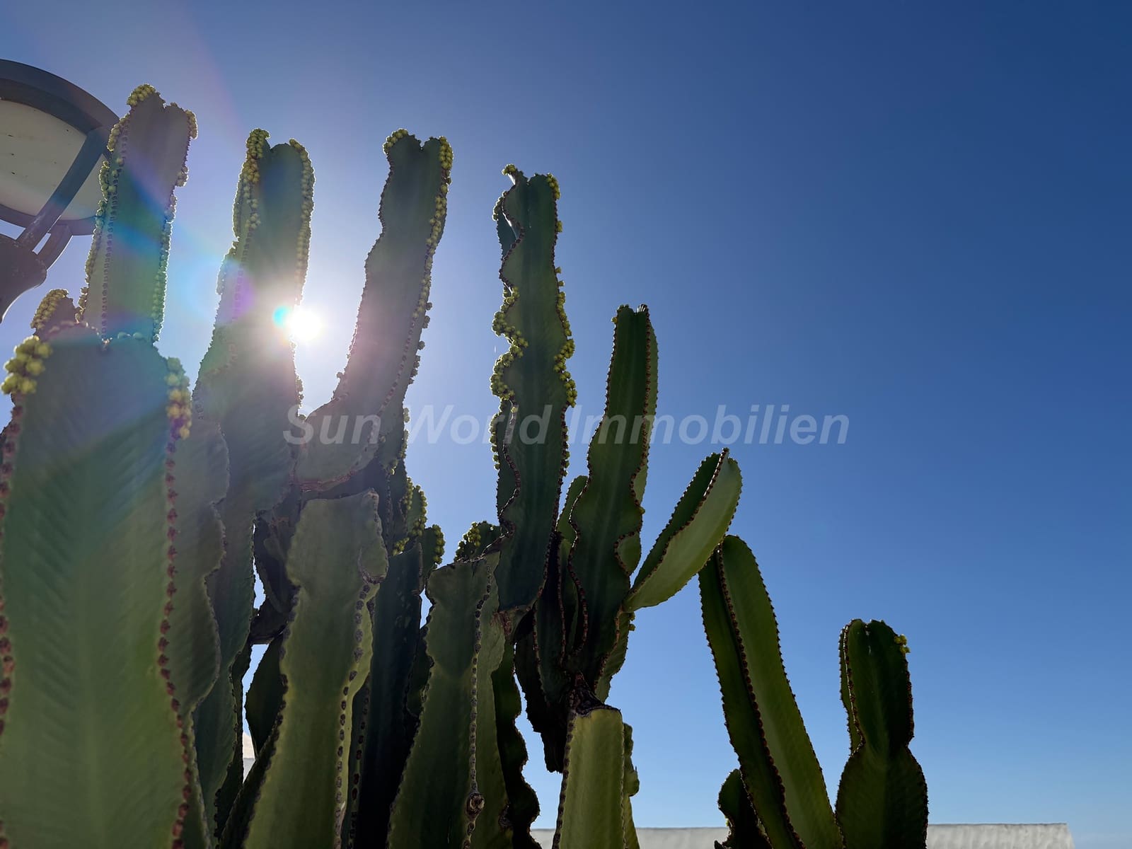 4 bedroom Townhouse for sale in San Agustin - € 1,050,000 (Ref: 9707622)