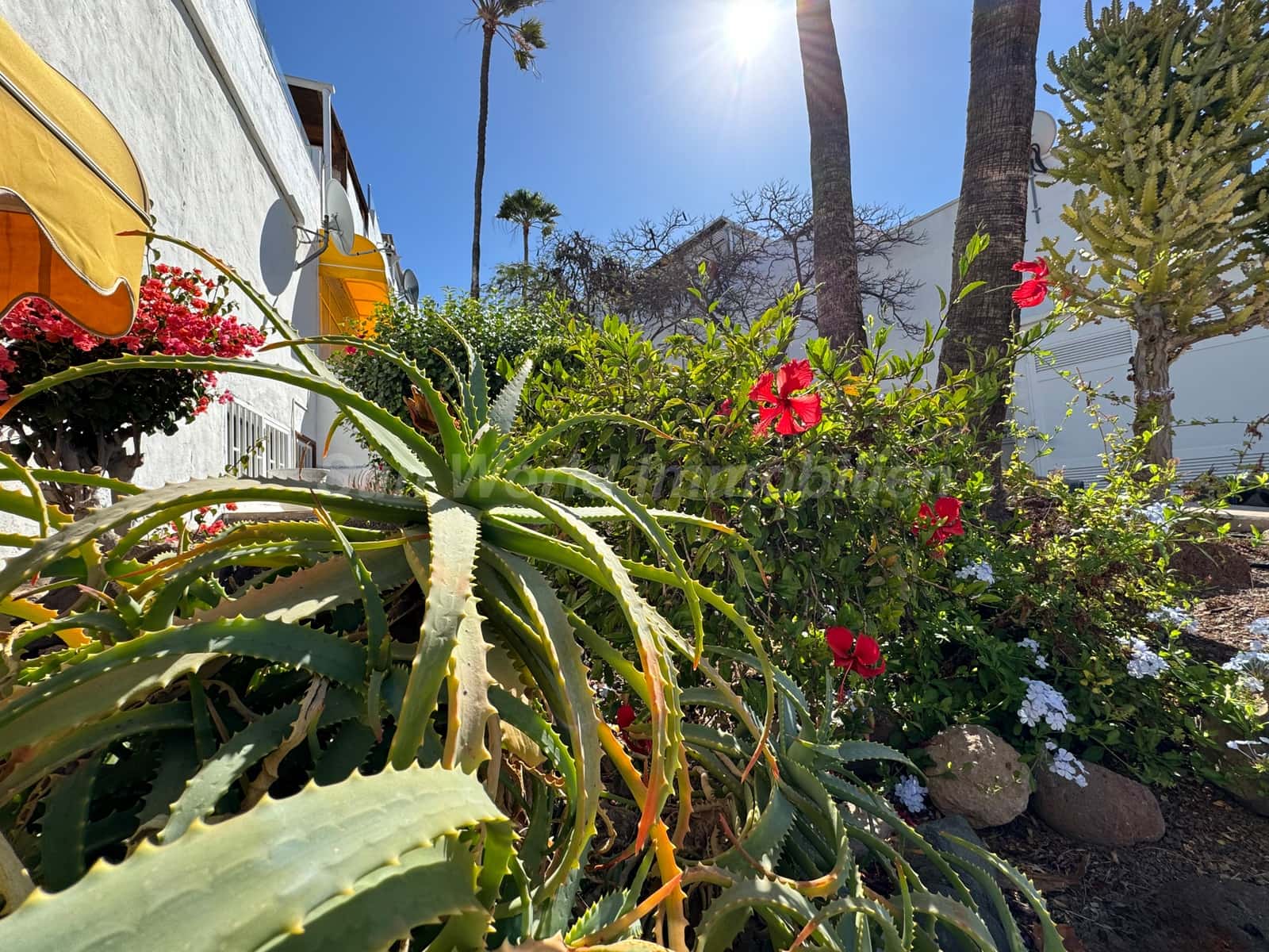 3 quarto Bungalow para venda em San Agustin - 579 000 € (Ref: 9800283)