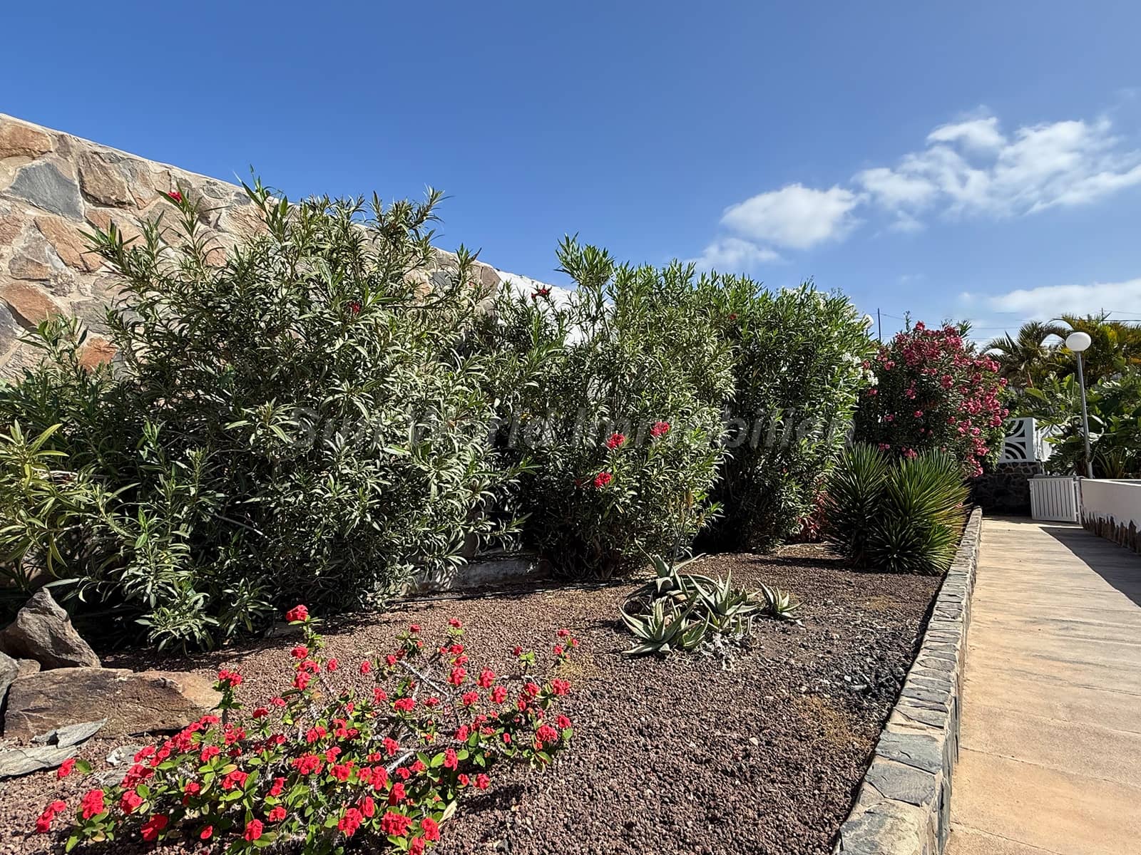 3 quarto Bungalow para venda em San Agustin - 579 000 € (Ref: 9800283)