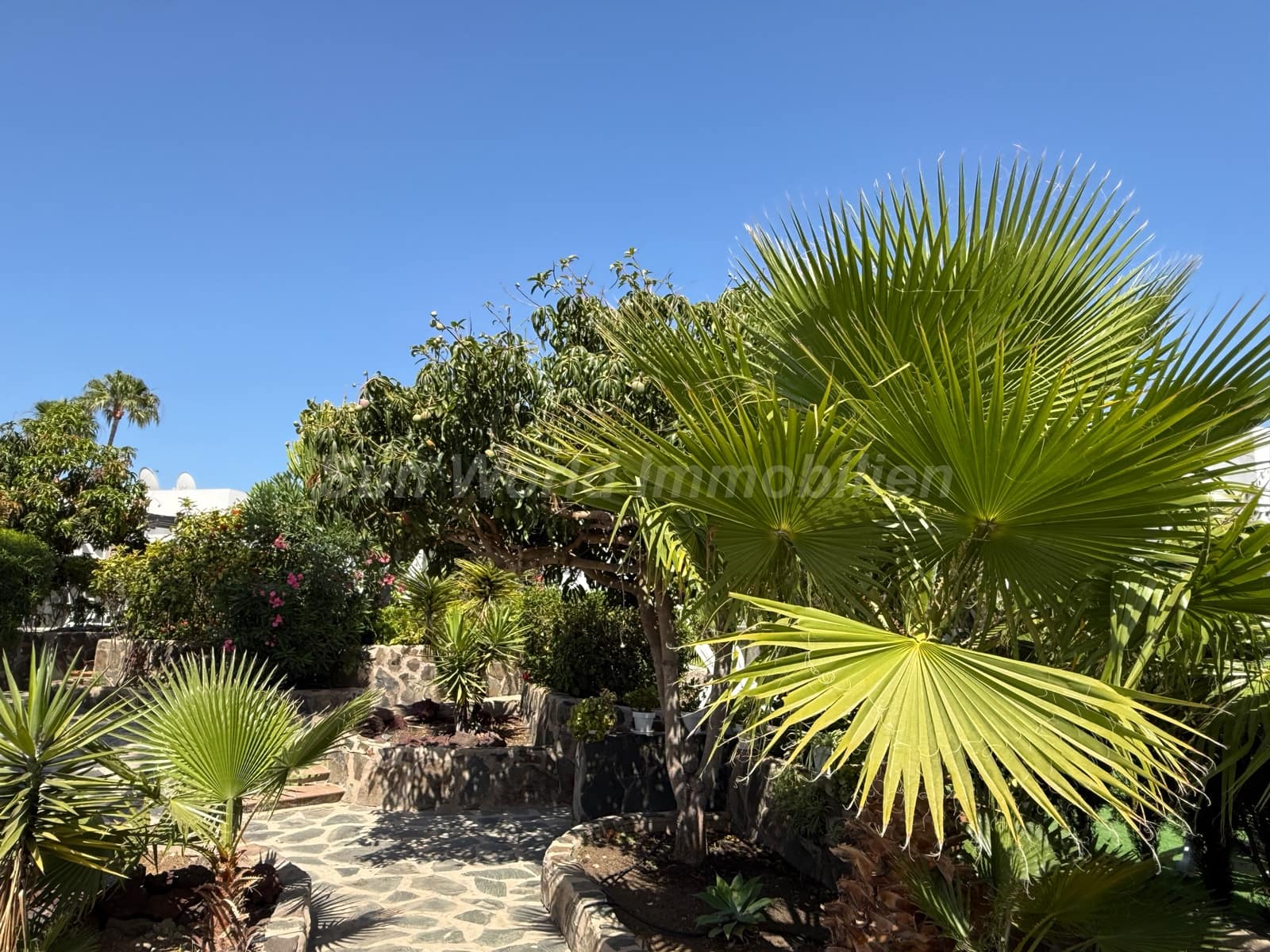 1 soverom Bungalow til salgs i Campo Internacional - € 269 000 (Ref: 9879741)