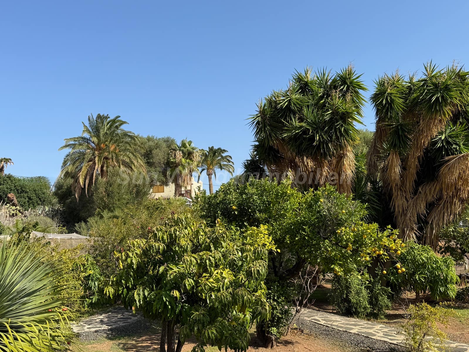 5 quarto Quinta/Casa Rural para venda em Ingenio com piscina - 619 000 € (Ref: 9902797)