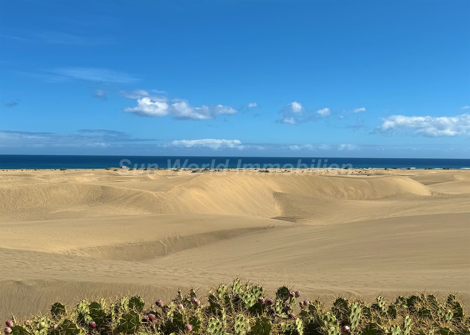1 soverom Bungalow til leie i San Agustin - € 1 300 (Ref: 9977973)